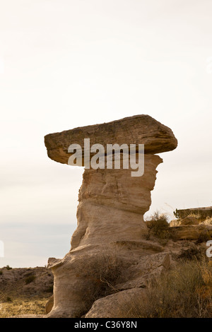 Équilibré sur la plate-forme de roche érodée au lever du soleil dans le Parc National de la Forêt Pétrifiée, Arizona, USA. Banque D'Images