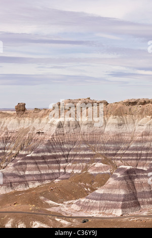 L'érosion de couches sédimentaires forment une tendance frappante à la Blue Mesa dans le Parc National de la Forêt Pétrifiée, Arizona, USA. Banque D'Images