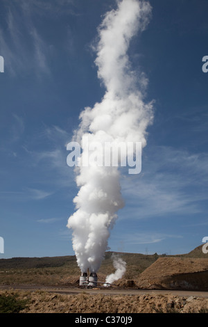 Les évents à vapeur à partir de plumes de développement géothermique Hells Gate Rift Valley Kenya Afrique de l'Est Banque D'Images