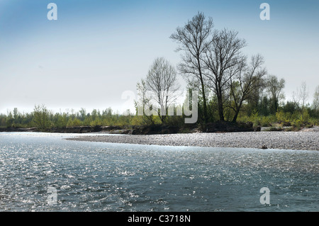 La rivière Tagliamento Banque D'Images