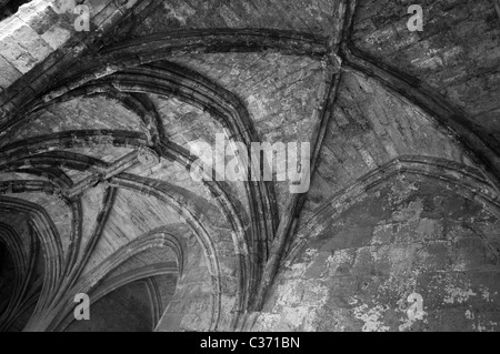 Toit voûté, Cathédrale de Narbonne Banque D'Images