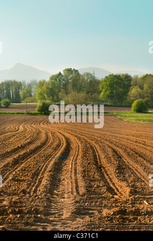 Au travail sur un champ labouré au coucher du soleil Banque D'Images