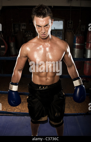 Portrait of male boxer agressif à la Banque D'Images