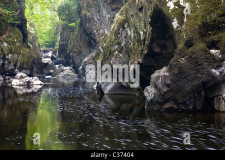 La rivière Conwy circulant dans 'The Fairy Glen' près de Betwys-Y-coed, Parc National de Snowdonia, le Nord du Pays de Galles, Royaume-Uni Banque D'Images