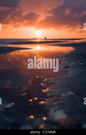 Coucher du soleil sur la plage de Bowman - Sanibel Island, Floride Banque D'Images