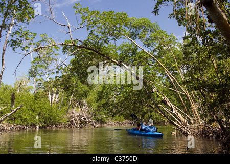 Les kayakistes à J. N. Ding Darling National Wildlife Refuge - Sanibel Island, Floride Banque D'Images