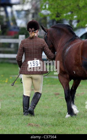 Le cheval et le cavalier qui participent à un événement spectacle équestre en Angleterre Banque D'Images