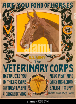 Êtes-vous amateur de chevaux - armée américaine - l'Affiche de recrutement du corps vétérinaire 1919 Banque D'Images