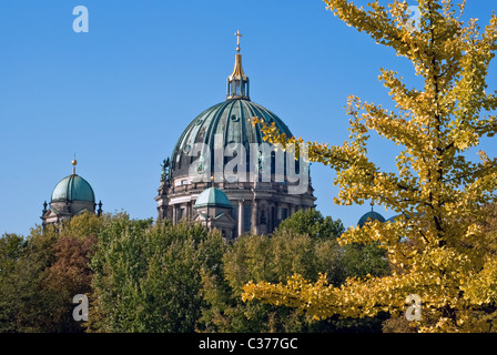 La cathédrale de Berlin, derrière des arbres verts dans le parc Banque D'Images