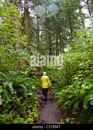 Femme marche sur cap Flattery trail dans l'état de Washington Banque D'Images