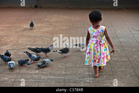 Jeune fille tente de prendre des pigeons Asie Sri Lanka Banque D'Images