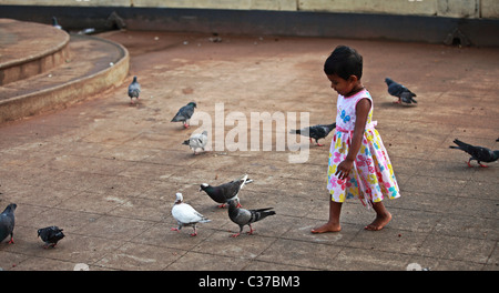 Jeune fille tente de prendre des pigeons Asie Sri Lanka Banque D'Images