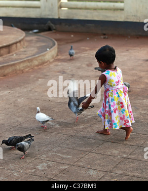 Jeune fille tente de prendre des pigeons Asie Sri Lanka Banque D'Images