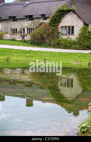 Chaumières à Ashmore, Dorset avec reflets dans l'étang en Avril Banque D'Images