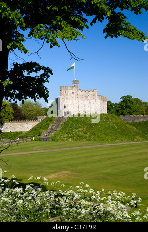 Donjon normand, le château de Cardiff, Cardiff, Glamorgan, Pays de Galles, Royaume-Uni. Banque D'Images