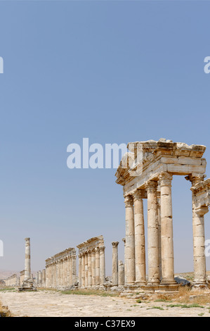 La majestueuse colonnade de la ville antique d'Apamée de Syrie Banque D'Images