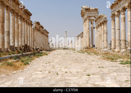 La majestueuse colonnade de la ville antique d'Apamée de Syrie Banque D'Images