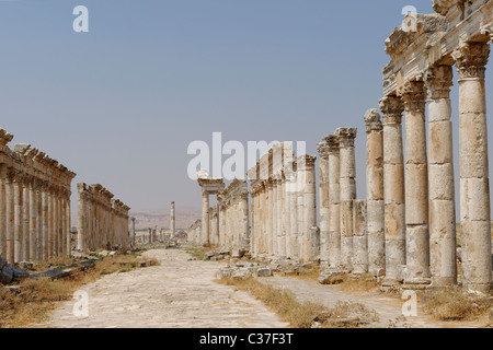 La majestueuse colonnade de la ville antique d'Apamée de Syrie Banque D'Images