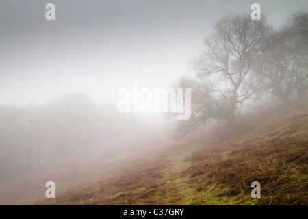 Jour brumeux sur une colline au Pays de Galles Banque D'Images