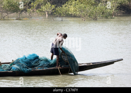 Pêcheur est la pêche dans les Sunderbans National Park dans l'ouest du Bengale, en Inde. Banque D'Images