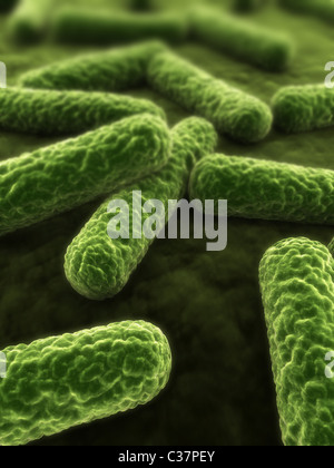 bactéries 3D Banque D'Images