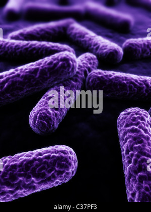 bactéries 3D Banque D'Images