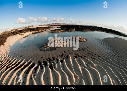 Ondulations dans le sable à El Cotillo Fuerteventura Canaries Banque D'Images