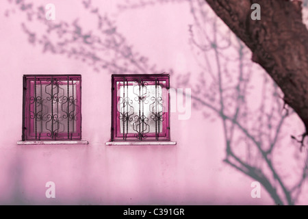 Ombres de branches d'arbre sur le mur et fenêtre Banque D'Images