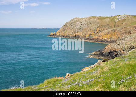 Vue de falaises et les Skerries site d'essai de turbines sous-marines au printemps. Carmel Head, île d'Anglesey, dans le Nord du Pays de Galles, Royaume-Uni. Banque D'Images