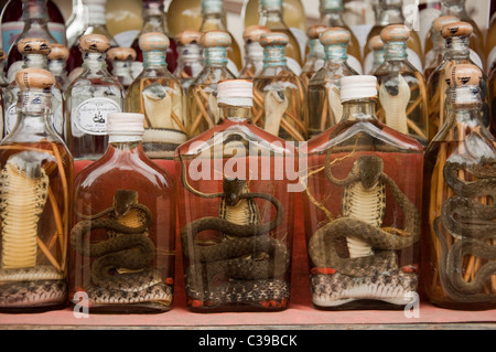 Les serpents et les scorpions, conservé dans du riz Whiskey dans un village du Mékong au Laos Banque D'Images