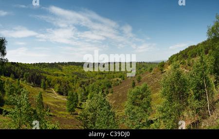 Les Devils Punchbowl Hindhead. Banque D'Images