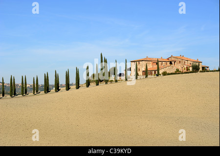 Italie, Toscane, Val d'Orcia, Agriturismo Poggio Covili Banque D'Images