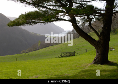 La côte au nord du Devon Lee Abbey près de Lynton et Lynmouth. L'Angleterre Banque D'Images