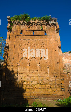 Complexe islamique surmonté de cigognes à la nécropole Chellah Rabat complexe de la capitale du Maroc Sud Banque D'Images