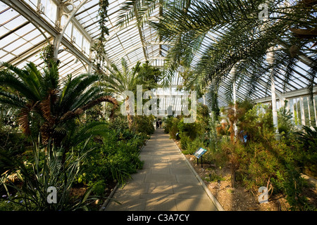 Path et les plantes dans l'intérieur de l'aile Sud de l'Europe Chambre. Kew Royal Botanic Gardens / Botanique / Jardin. Banque D'Images