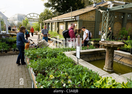 Vente des plantes dans la boutique : Client / clients & flowers / fleurs / affiche / plantes à Kew Botanic Gardens / Centre. UK Banque D'Images