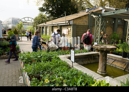 Vente des plantes dans la boutique : Client / clients & flowers / fleurs / affiche / plantes à Kew Botanic Gardens / Centre. UK Banque D'Images