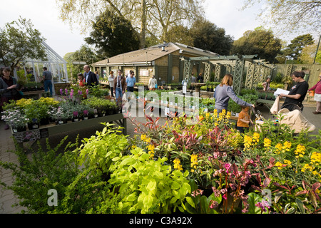 Vente des plantes dans la boutique : Client / clients & flowers / fleurs / affiche / plantes à Kew Botanic Gardens / Centre. UK Banque D'Images