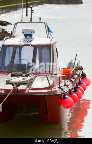 Bateaux de pêche au homard crabe Gourdon Harbour Ecosse Banque D'Images