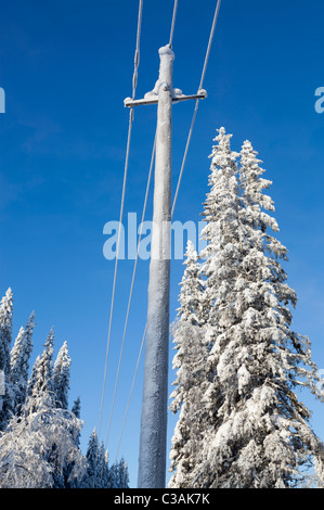Poteau utilitaire enneigé à l'hiver à la forêt de taïga, Finlande Banque D'Images