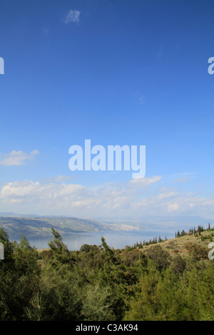 Golan, Mevo Hamma forêt dominant la mer de Galilée Banque D'Images