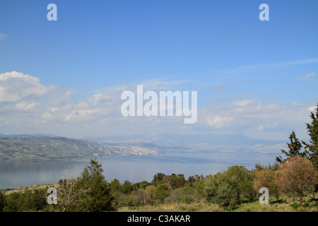 Golan, Mevo Hamma forêt dominant la mer de Galilée Banque D'Images