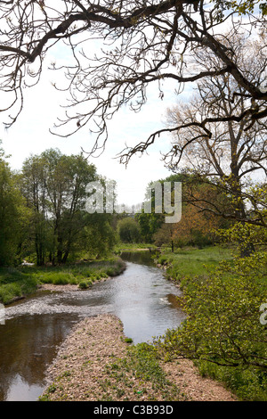 La loutre de rivière à Honiton, Devon Banque D'Images