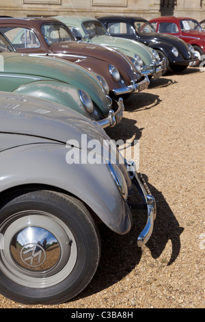 Line-up de vintage Volkswagen Beetles à Stanford Hall, Royaume-Uni Banque D'Images