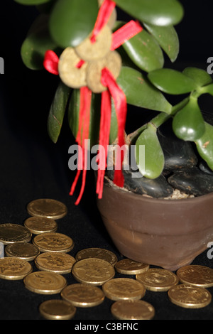 Le Feng Shui de pièces sur arbre d'argent avec des pièces d'or qui symbolise le succès et la richesse.. Pièces d'Or sont à la Banque D'Images
