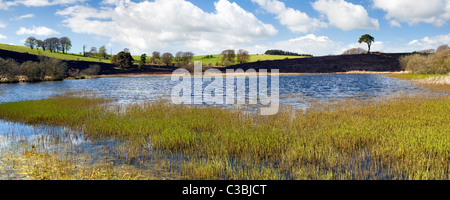 Vue panoramique de l'étang dans le riddy Mendips, Somerset avec pinceau paysage noirci après les dégâts causés par le feu, prise le jour ensoleillé Banque D'Images