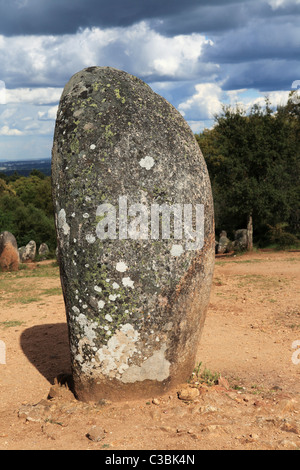 Un menhir de l'ère mégalithique cromlech des Almendres, près de la ville d'Evora dans le district de l'Alentejo au Portugal. Banque D'Images