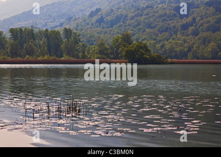 Idylllischer Gebirgssee Lago di Piano Banque D'Images