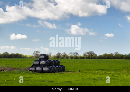 Bottes de foin enveloppés de plastique noir dans le champ près de Fenny château sur les niveaux de Somerset uk prise contre un ciel bleu Banque D'Images