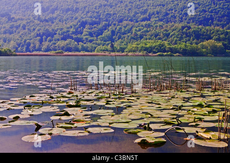 Idylllischer Gebirgssee Lago di Piano Banque D'Images